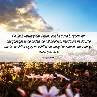 Picture 06 - Bilowgii 1:20 SOM - Oo Ilaah wuxuu yidhi, Biyuhu aad ha u soo - Bible Verse Picture