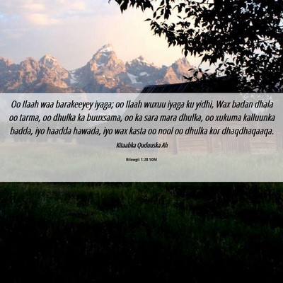 Picture 06 - Bilowgii 1:28 SOM - Oo Ilaah waa barakeeyey iyaga; oo Ilaah wuxuu - Bible Verse Picture