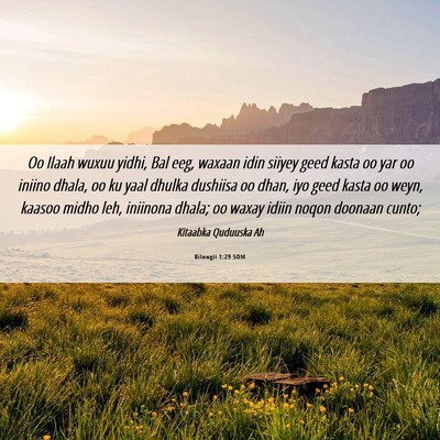Picture 06 - Bilowgii 1:29 SOM - Oo Ilaah wuxuu yidhi, Bal eeg, waxaan idin siiyey - Bible Verse Picture