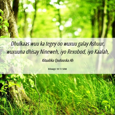 Picture 06 - Bilowgii 10:11 SOM - Dhulkaas wuu ka tegey oo wuxuu galay Ashuur, - Bible Verse Picture