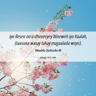 Picture 06 - Bilowgii 10:12 SOM - iyo Resen oo u dhexeeyey Nineweh iyo Kaalah, - Bible Verse Picture
