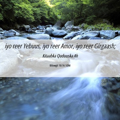Picture 06 - Bilowgii 10:16 SOM - iyo reer Yebuus, iyo reer Amor, iyo reer - Bible Verse Picture