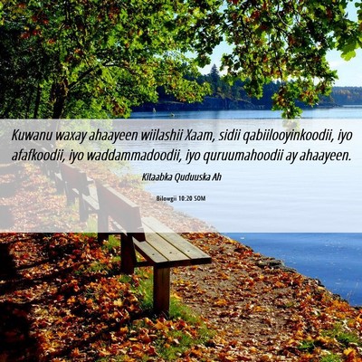 Picture 06 - Bilowgii 10:20 SOM - Kuwanu waxay ahaayeen wiilashii Xaam, sidii - Bible Verse Picture