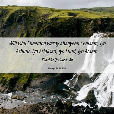 Picture 06 - Bilowgii 10:22 SOM - Wiilashii Sheemna waxay ahaayeen Ceelaam, iyo - Bible Verse Picture