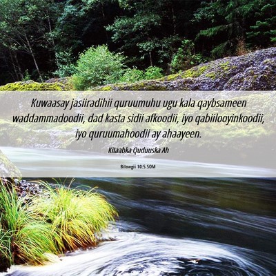 Picture 06 - Bilowgii 10:5 SOM - Kuwaasay jasiiradihii quruumuhu ugu kala - Bible Verse Picture