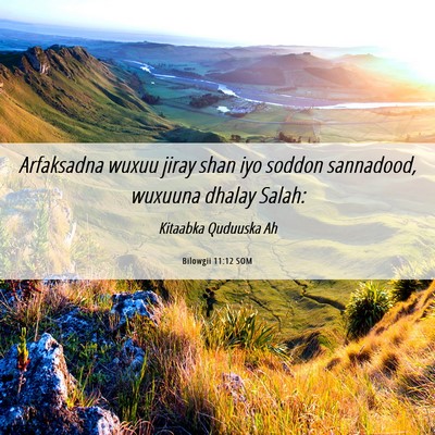 Picture 06 - Bilowgii 11:12 SOM - Arfaksadna wuxuu jiray shan iyo soddon sannadood, - Bible Verse Picture