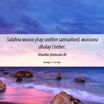 Picture 06 - Bilowgii 11:14 SOM - Salahna wuxuu jiray soddon sannadood, wuxuuna - Bible Verse Picture