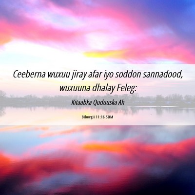 Picture 06 - Bilowgii 11:16 SOM - Ceeberna wuxuu jiray afar iyo soddon sannadood, - Bible Verse Picture