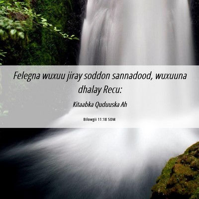 Picture 06 - Bilowgii 11:18 SOM - Felegna wuxuu jiray soddon sannadood, wuxuuna - Bible Verse Picture
