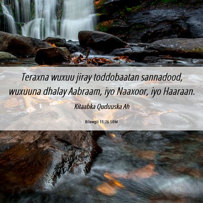 Picture 06 - Bilowgii 11:26 SOM - Teraxna wuxuu jiray toddobaatan sannadood, - Bible Verse Picture