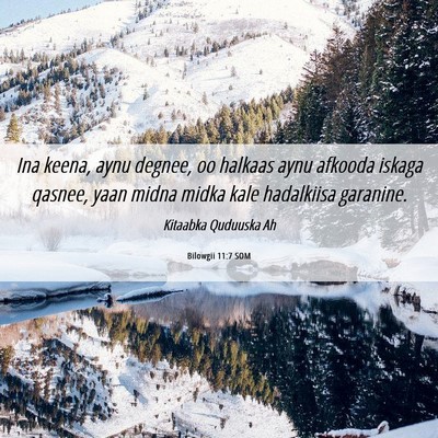 Picture 06 - Bilowgii 11:7 SOM - Ina keena, aynu degnee, oo halkaas aynu afkooda - Bible Verse Picture