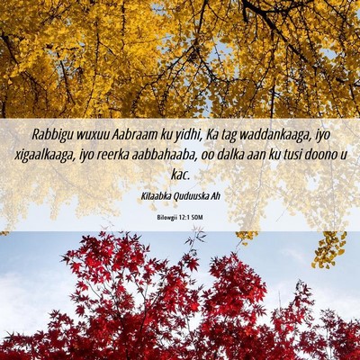 Picture 06 - Bilowgii 12:1 SOM - Rabbigu wuxuu Aabraam ku yidhi, Ka tag - Bible Verse Picture