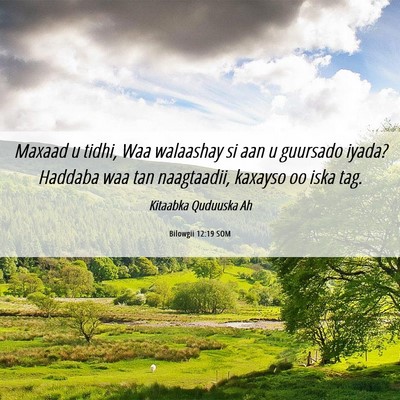 Picture 06 - Bilowgii 12:19 SOM - Maxaad u tidhi, Waa walaashay si aan u guursado - Bible Verse Picture