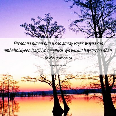 Picture 06 - Bilowgii 12:20 SOM - Fircoonna niman buu u soo amray isaga: wayna soo - Bible Verse Picture