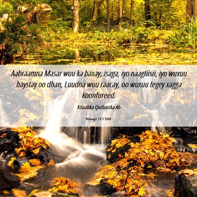 Picture 06 - Bilowgii 13:1 SOM - Aabraamna Masar wuu ka baxay, isaga, iyo - Bible Verse Picture