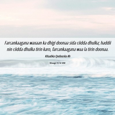Picture 06 - Bilowgii 13:16 SOM - Farcankaagana waxaan ka dhigi doonaa sida ciidda - Bible Verse Picture