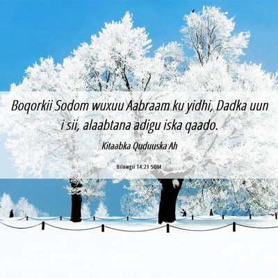 Picture 06 - Bilowgii 14:21 SOM - Boqorkii Sodom wuxuu Aabraam ku yidhi, Dadka uun - Bible Verse Picture