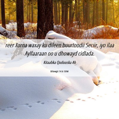 Picture 06 - Bilowgii 14:6 SOM - reer Xorna waxay ku dileen buurtoodii Seciir, iyo - Bible Verse Picture