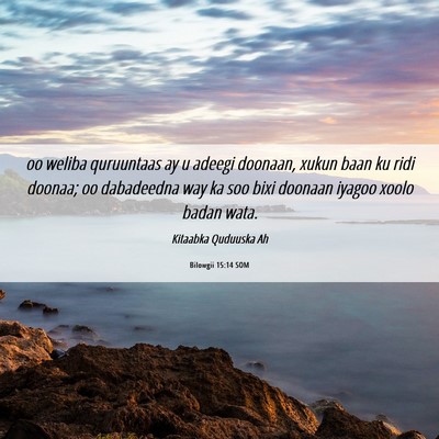 Picture 06 - Bilowgii 15:14 SOM - oo weliba quruuntaas ay u adeegi doonaan, xukun - Bible Verse Picture