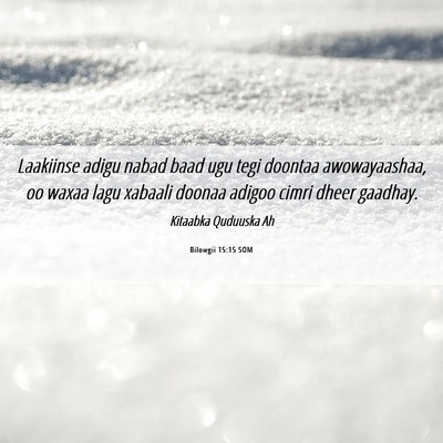 Picture 06 - Bilowgii 15:15 SOM - Laakiinse adigu nabad baad ugu tegi doontaa - Bible Verse Picture