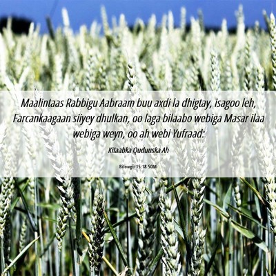 Picture 06 - Bilowgii 15:18 SOM - Maalintaas Rabbigu Aabraam buu axdi la dhigtay, - Bible Verse Picture