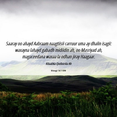 Picture 06 - Bilowgii 16:1 SOM - Saaray oo ahayd Aabraam naagtiisii carruur uma ay - Bible Verse Picture
