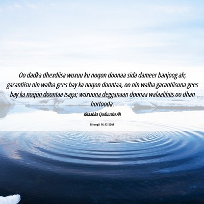 Picture 06 - Bilowgii 16:12 SOM - Oo dadka dhexdiisa wuxuu ku noqon doonaa sida - Bible Verse Picture
