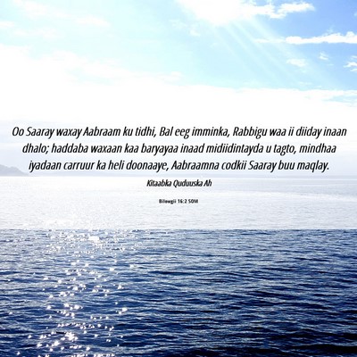 Picture 06 - Bilowgii 16:2 SOM - Oo Saaray waxay Aabraam ku tidhi, Bal eeg - Bible Verse Picture