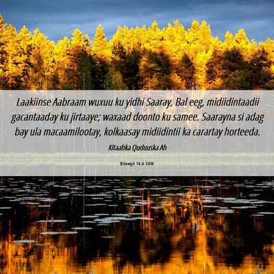 Picture 06 - Bilowgii 16:6 SOM - Laakiinse Aabraam wuxuu ku yidhi Saaray, Bal eeg, - Bible Verse Picture