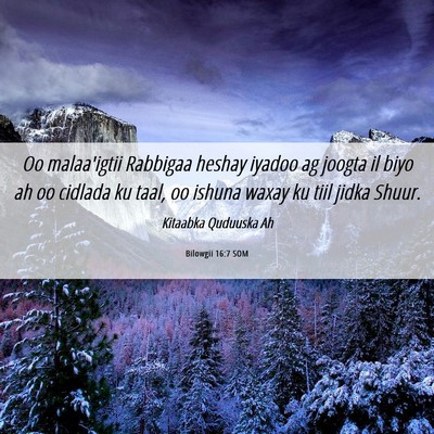 Picture 06 - Bilowgii 16:7 SOM - Oo malaa'igtii Rabbigaa heshay iyadoo ag joogta - Bible Verse Picture