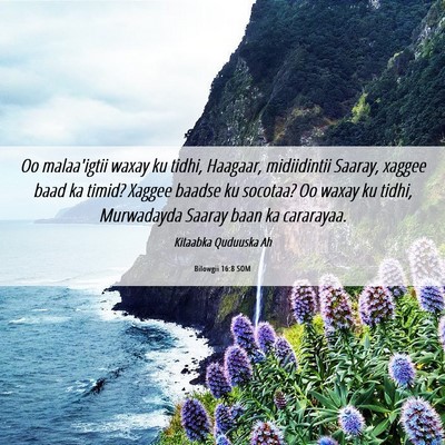 Picture 06 - Bilowgii 16:8 SOM - Oo malaa'igtii waxay ku tidhi, Haagaar, - Bible Verse Picture