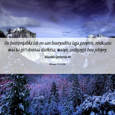 Picture 06 - Bilowgii 17:14 SOM - Oo buuryoqabka lab oo aan buuryadiisa laga - Bible Verse Picture