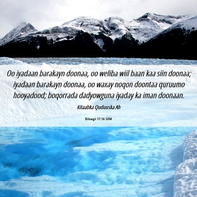 Picture 06 - Bilowgii 17:16 SOM - Oo iyadaan barakayn doonaa, oo weliba wiil baan - Bible Verse Picture