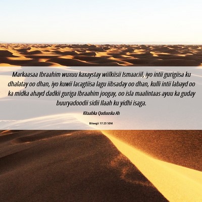 Picture 06 - Bilowgii 17:23 SOM - Markaasaa Ibraahim wuxuu kaxaystay wiilkiisii - Bible Verse Picture