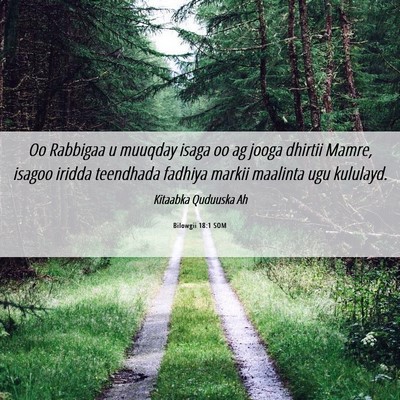 Picture 06 - Bilowgii 18:1 SOM - Oo Rabbigaa u muuqday isaga oo ag jooga dhirtii - Bible Verse Picture