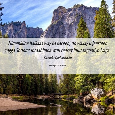 Picture 06 - Bilowgii 18:16 SOM - Nimankiina halkaas way ka kaceen, oo waxay u - Bible Verse Picture