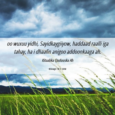 Picture 06 - Bilowgii 18:3 SOM - oo wuxuu yidhi, Sayidkaygiiyow, haddaad raalli - Bible Verse Picture