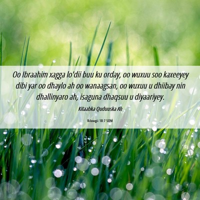 Picture 06 - Bilowgii 18:7 SOM - Oo Ibraahim xagga lo'dii buu ku orday, oo wuxuu - Bible Verse Picture