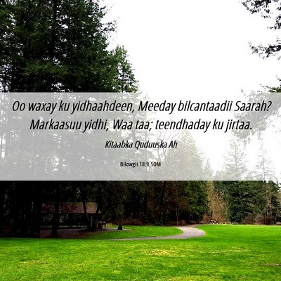 Picture 06 - Bilowgii 18:9 SOM - Oo waxay ku yidhaahdeen, Meeday bilcantaadii - Bible Verse Picture