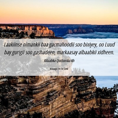 Picture 06 - Bilowgii 19:10 SOM - Laakiinse nimankii baa gacmahoodii soo bixiyey, - Bible Verse Picture