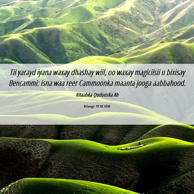 Picture 06 - Bilowgii 19:38 SOM - Tii yarayd iyana waxay dhashay wiil, oo waxay - Bible Verse Picture