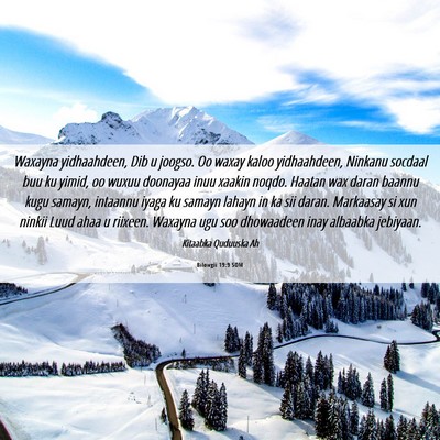 Picture 06 - Bilowgii 19:9 SOM - Waxayna yidhaahdeen, Dib u joogso. Oo waxay kaloo - Bible Verse Picture