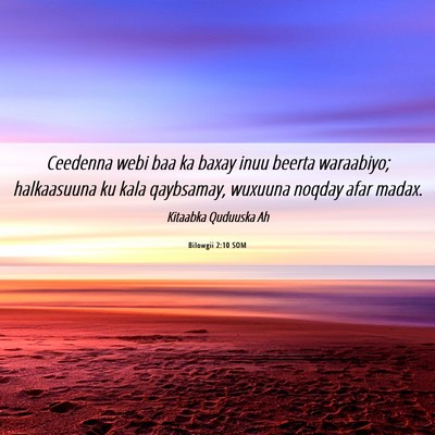 Picture 06 - Bilowgii 2:10 SOM - Ceedenna webi baa ka baxay inuu beerta waraabiyo; - Bible Verse Picture