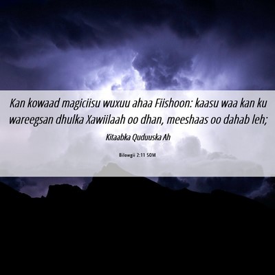 Picture 06 - Bilowgii 2:11 SOM - Kan kowaad magiciisu wuxuu ahaa Fiishoon: kaasu - Bible Verse Picture