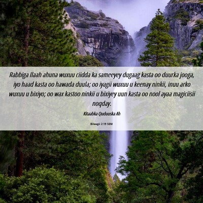 Picture 06 - Bilowgii 2:19 SOM - Rabbiga Ilaah ahuna wuxuu ciidda ka sameeyey - Bible Verse Picture