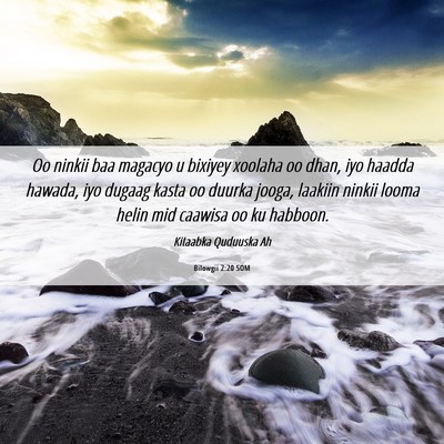 Picture 06 - Bilowgii 2:20 SOM - Oo ninkii baa magacyo u bixiyey xoolaha oo dhan, - Bible Verse Picture