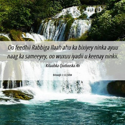 Picture 06 - Bilowgii 2:22 SOM - Oo feedhii Rabbiga Ilaah ahu ka bixiyey ninka - Bible Verse Picture