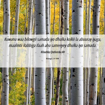 Picture 06 - Bilowgii 2:4 SOM - Kuwanu waa bilowgii samada iyo dhulka kolkii la - Bible Verse Picture
