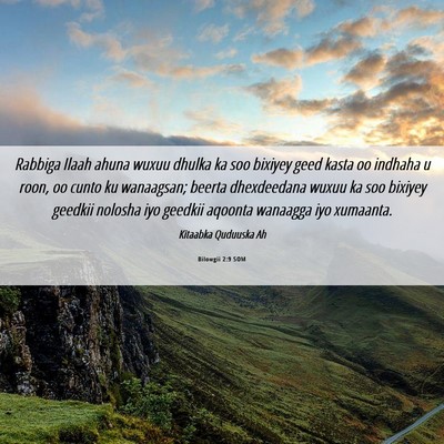 Picture 06 - Bilowgii 2:9 SOM - Rabbiga Ilaah ahuna wuxuu dhulka ka soo bixiyey - Bible Verse Picture