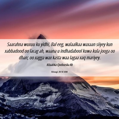 Picture 06 - Bilowgii 20:16 SOM - Saarahna wuxuu ku yidhi, Bal eeg, walaalkaa - Bible Verse Picture
